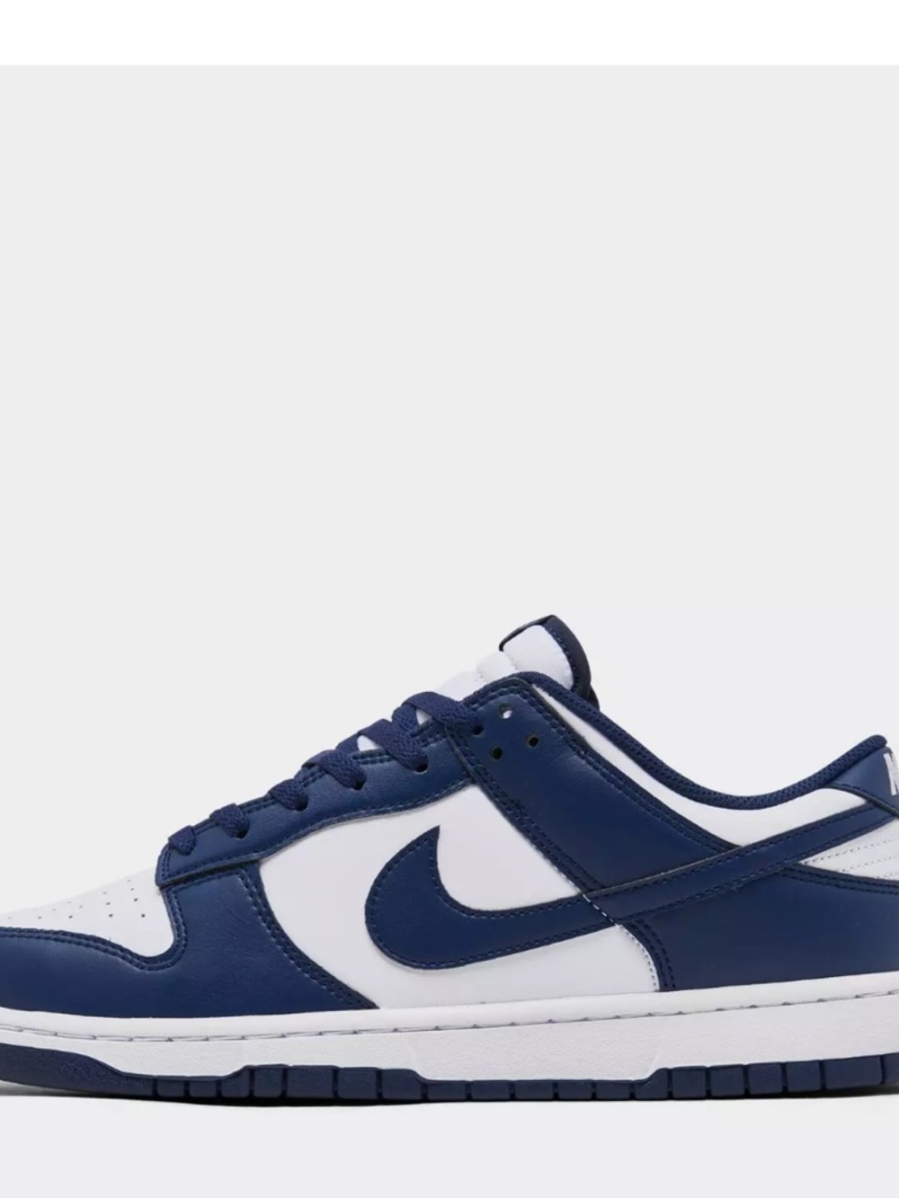 Mens Nike Dunk Low Retro Casual Shoes NWOT